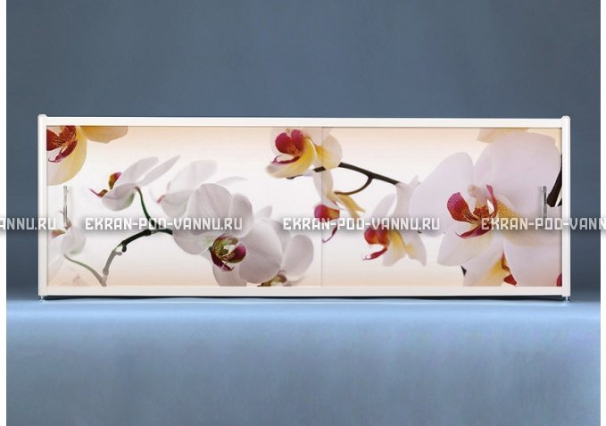 Раздвижной ФОТО экран - Orchid – купить по цене 8500 руб. в интернет-магазине в городе Красноярск картинка 1