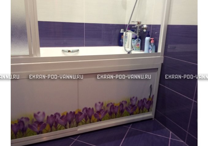 Экран на роликах EUROPLEX  Ирисы – купить по цене 12400 руб. в интернет-магазине в городе Красноярск картинка 3
