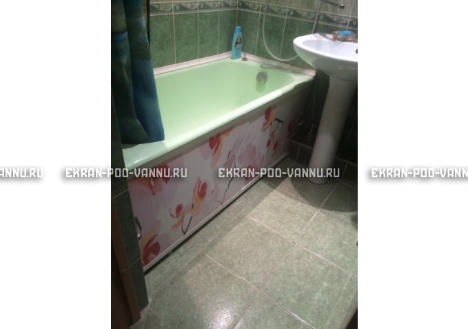 Раздвижной ФОТО экран - Orchid – купить по цене 8500 руб. в интернет-магазине в городе Красноярск картинка 5
