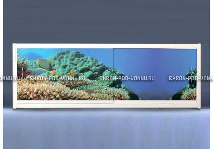 Экран на роликах EUROPLEX Коралловые рифы – купить по цене 12400 руб. в интернет-магазине в городе Красноярск картинка 1
